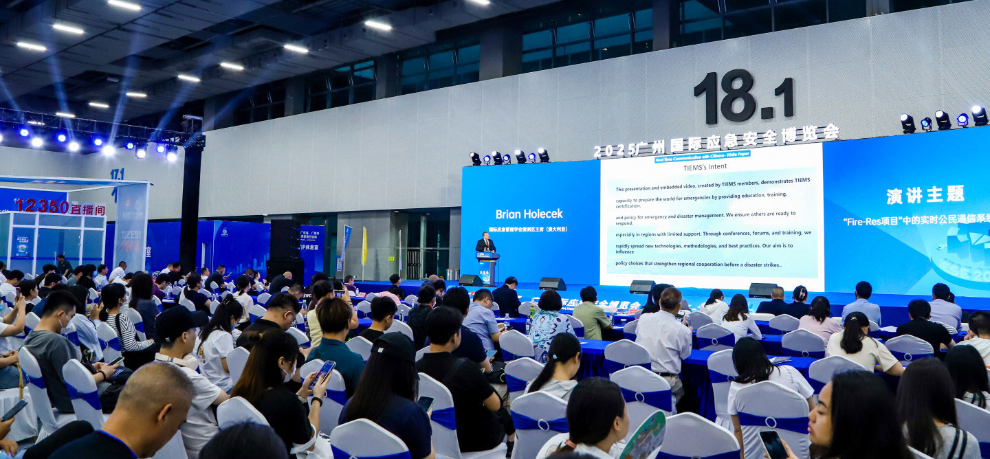 TIEMS 2026 Hybrid Annual Conference